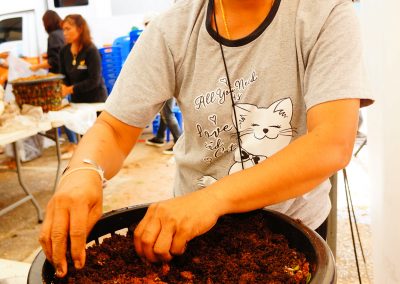 batch_DSC02203