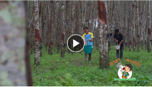 อาสาพาเจริญ ตอนที่ 9 : โรงหมักปุ๋ยอินทรีย์ ประจำหมู่บ้าน อ.ทองผาภูมิ จ.กาญจนบุรี